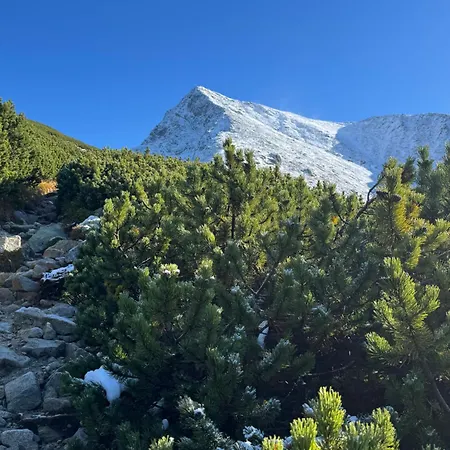 וילה Rocky View *