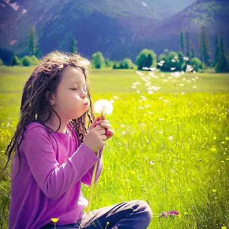 Villa Rocky View Stará Lesná